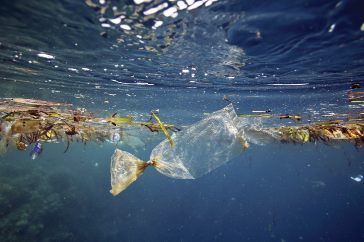 Plastic waste in the ocean