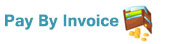 Pay with OFFLINE