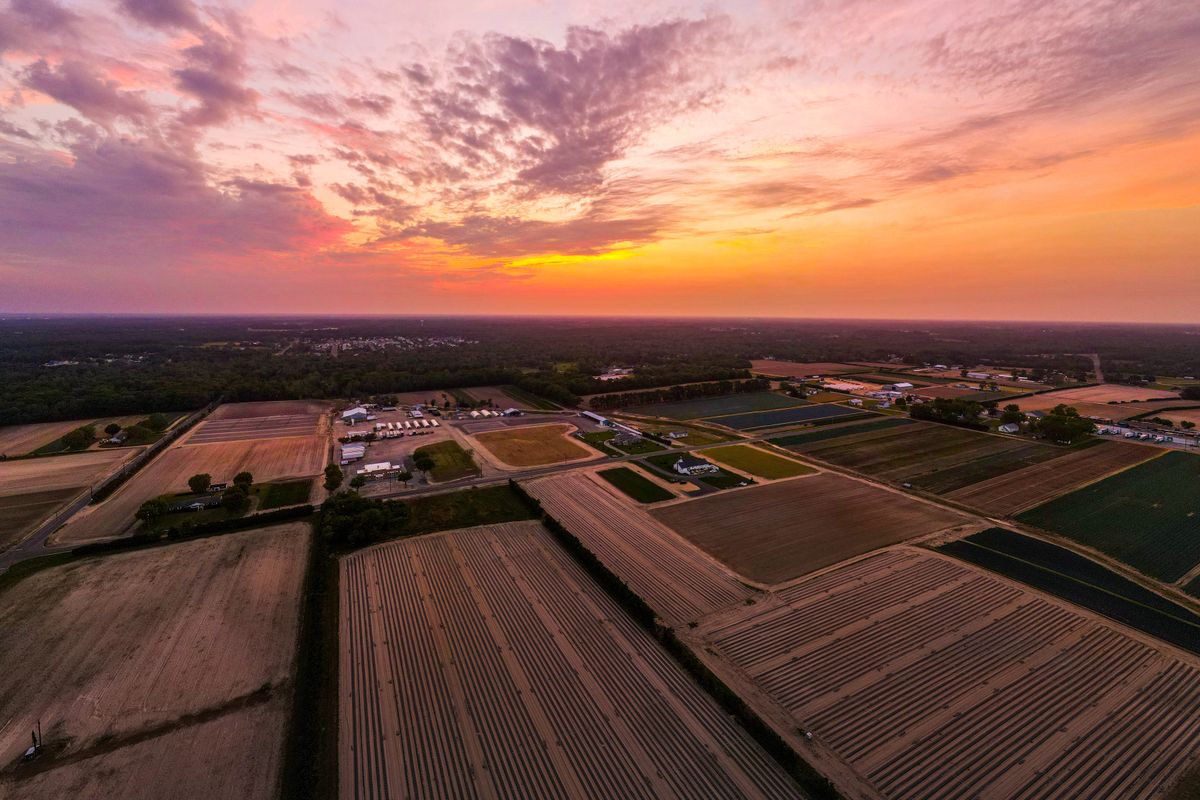 Land Built for Growth