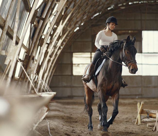 Virtual horse shows for every rider