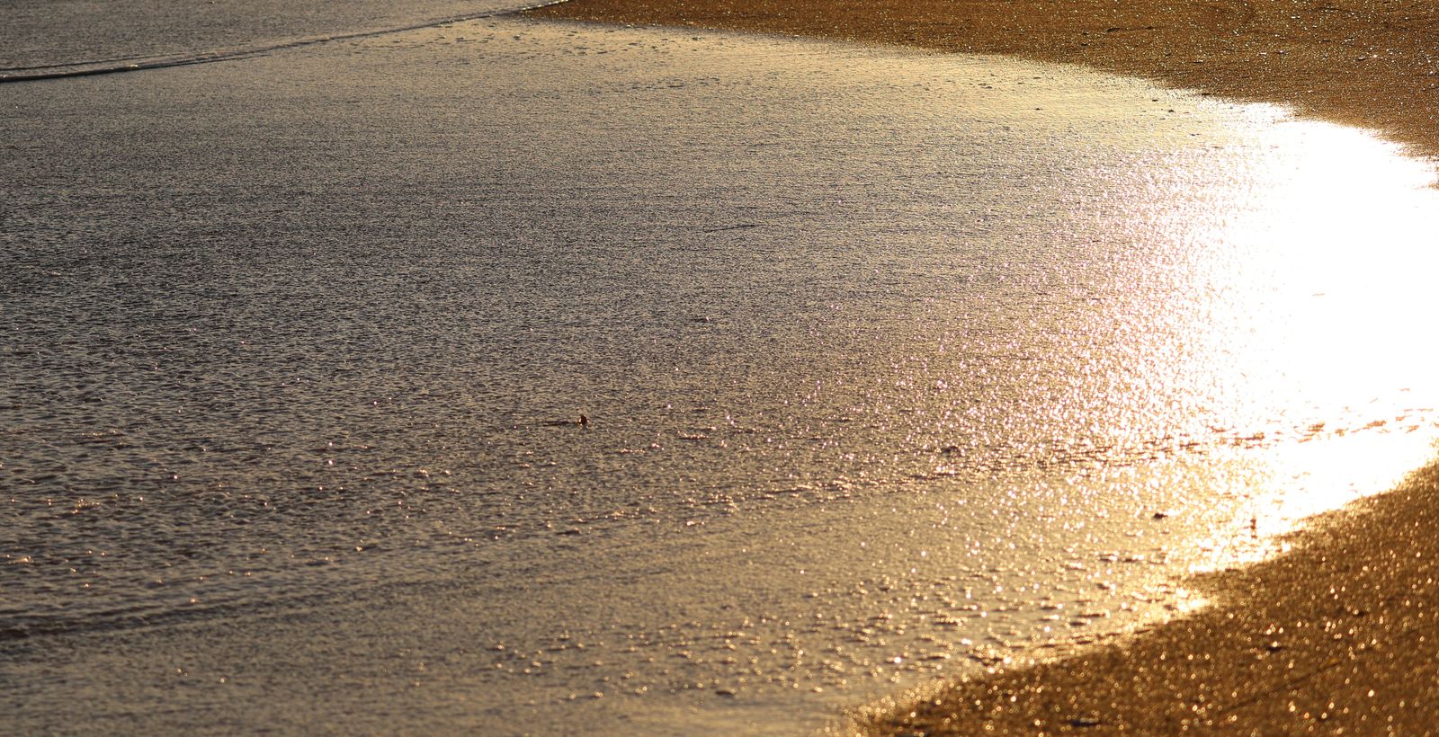 Treasures Born
of Sea & Fire