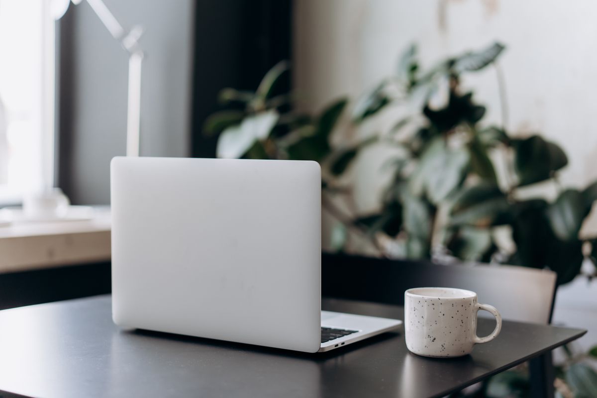 Your site, one £95 price