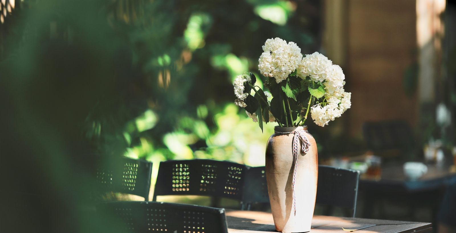 From Garden<br>to Your Skin