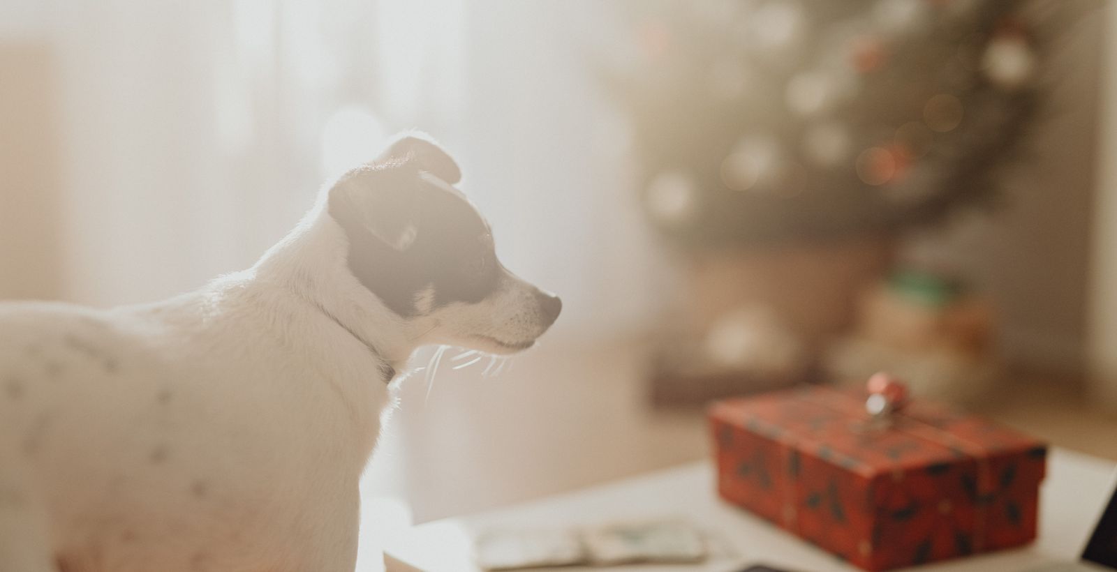Gifts That Feel Personal