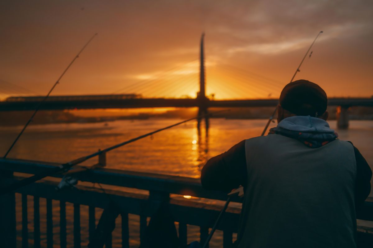 Rods, Reels and More
