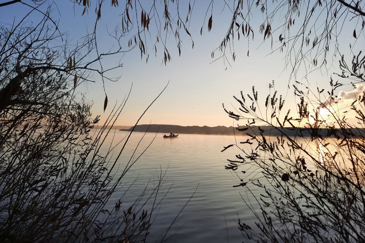 Boilies for Every Swim