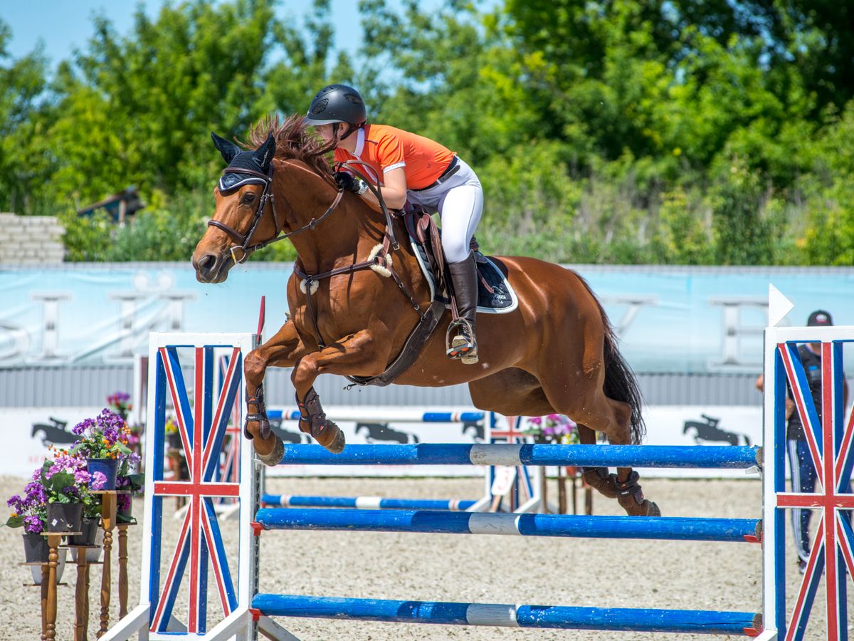 Open Horse Show Series Entry
