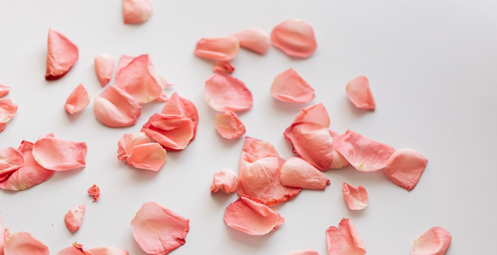 Handcrafted Art
Made Just for You