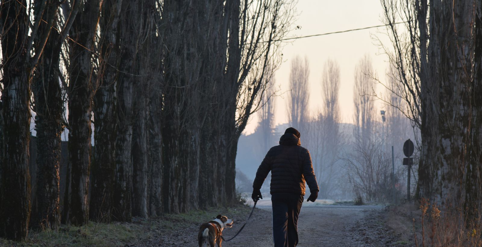 Calm Walks Ahead