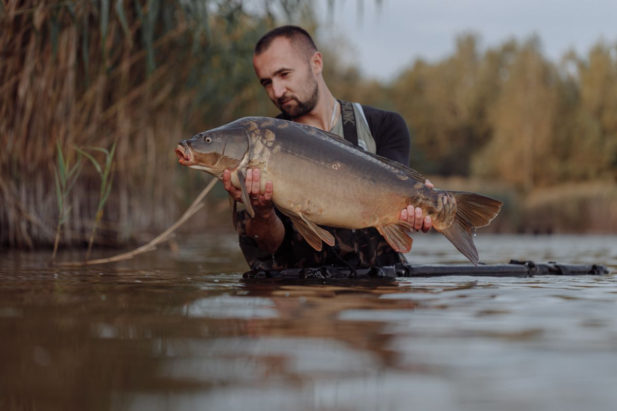 Baits Worth Casting Out